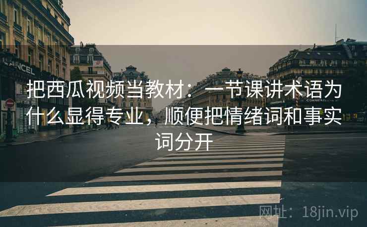 把西瓜视频当教材：一节课讲术语为什么显得专业，顺便把情绪词和事实词分开